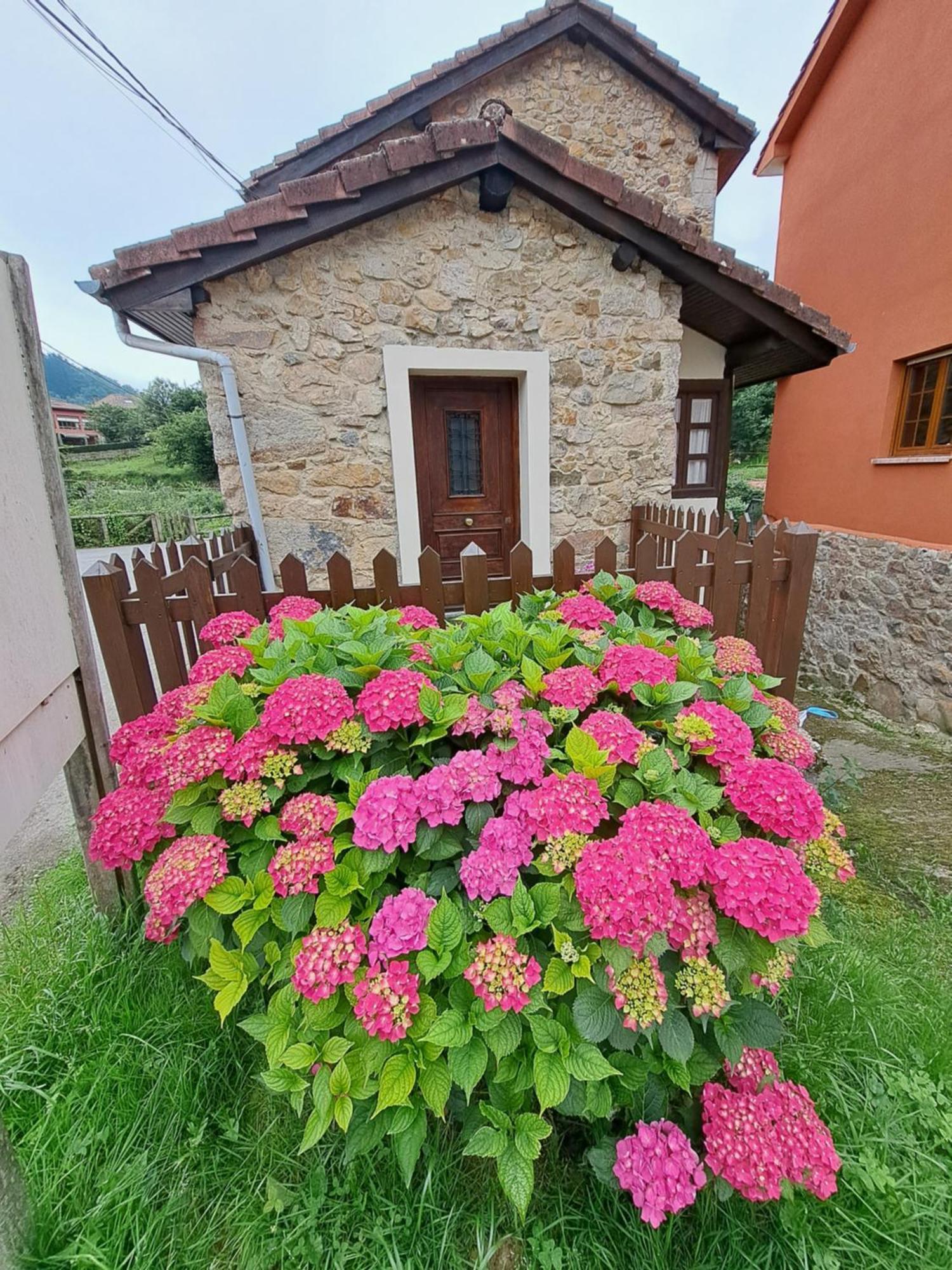 Casa Rural El Puente De Agues Soto De Agues Zewnętrze zdjęcie